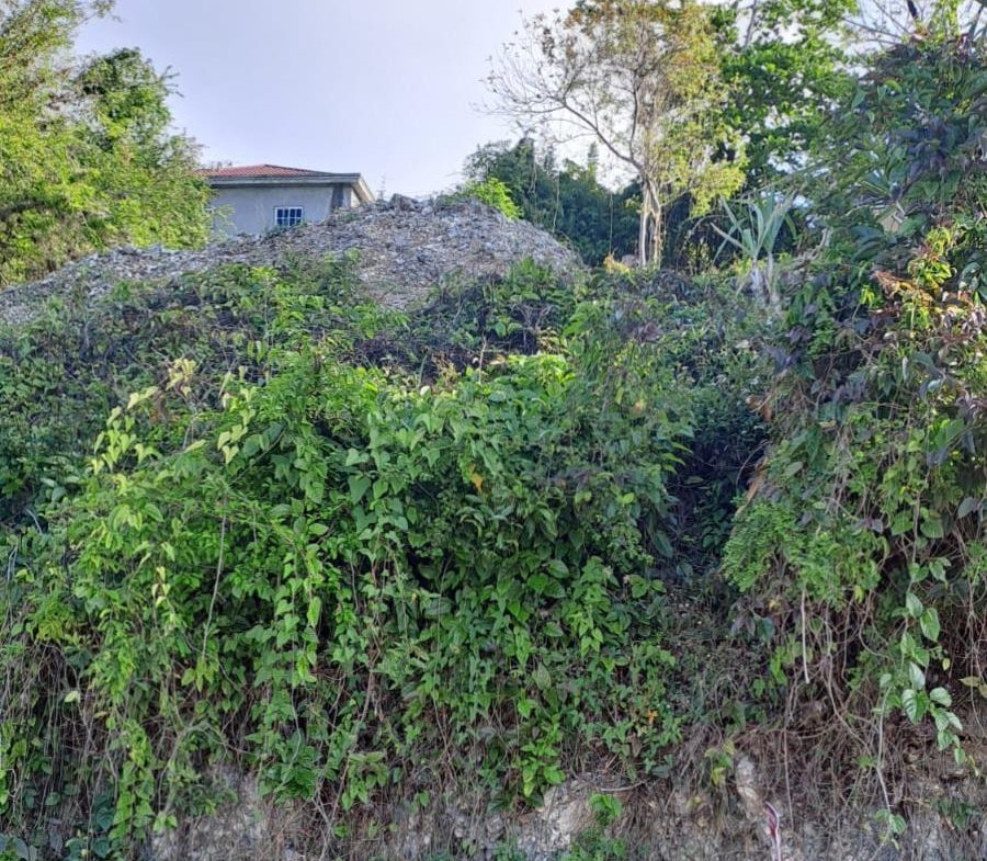 Fifth image of 51 Melrose Mews in Melrose, Manchester, Jamaica - property is For Sale