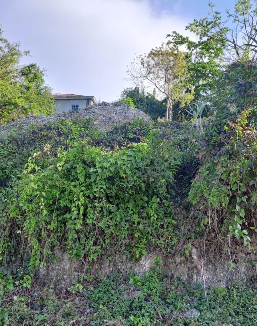 Residential-Lot-for-Sale-in-Melrose-Mews-Manchester-Jamaica Fifth image of 51 Melrose Mews in Melrose, Manchester, Jamaica - property is For Sale