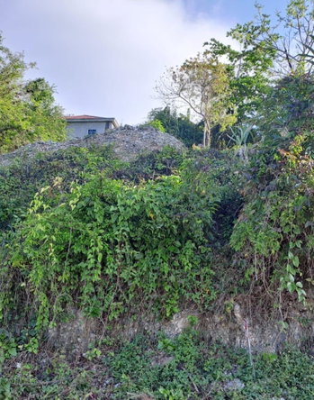 Fifth image of 51 Melrose Mews in Melrose, Manchester, Jamaica - property is For Sale