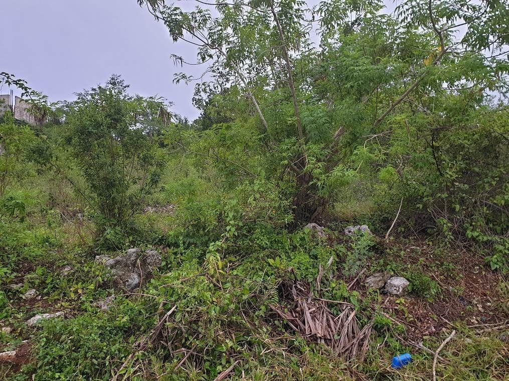 Second image of Lot 285 Orchard Circle Williamsf in Williamsfield, Manchester, Jamaica - property is For Sale
