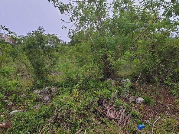 Second image of Lot 285 Orchard Circle Williamsf in Williamsfield, Manchester, Jamaica - property is For Sale