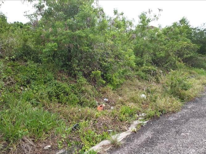 Fourth image of Lot 285 Orchard Circle Williamsf in Williamsfield, Manchester, Jamaica - property is For Sale