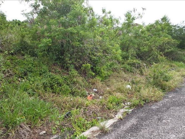 Fourth image of Lot 285 Orchard Circle Williamsf in Williamsfield, Manchester, Jamaica - property is For Sale