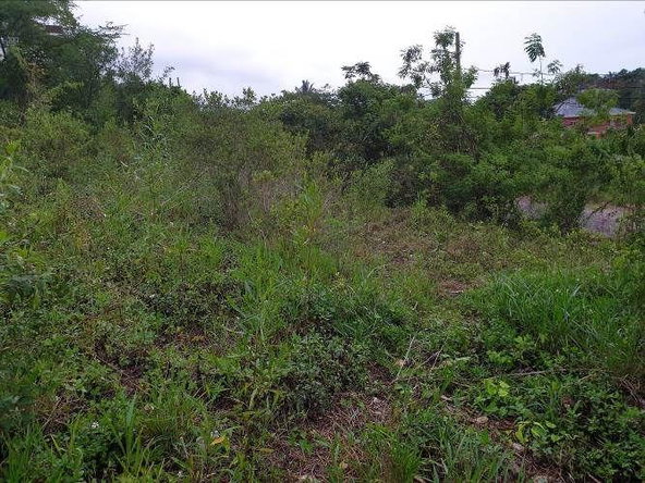 Fifth image of Lot 285 Orchard Circle Williamsf in Williamsfield, Manchester, Jamaica - property is For Sale