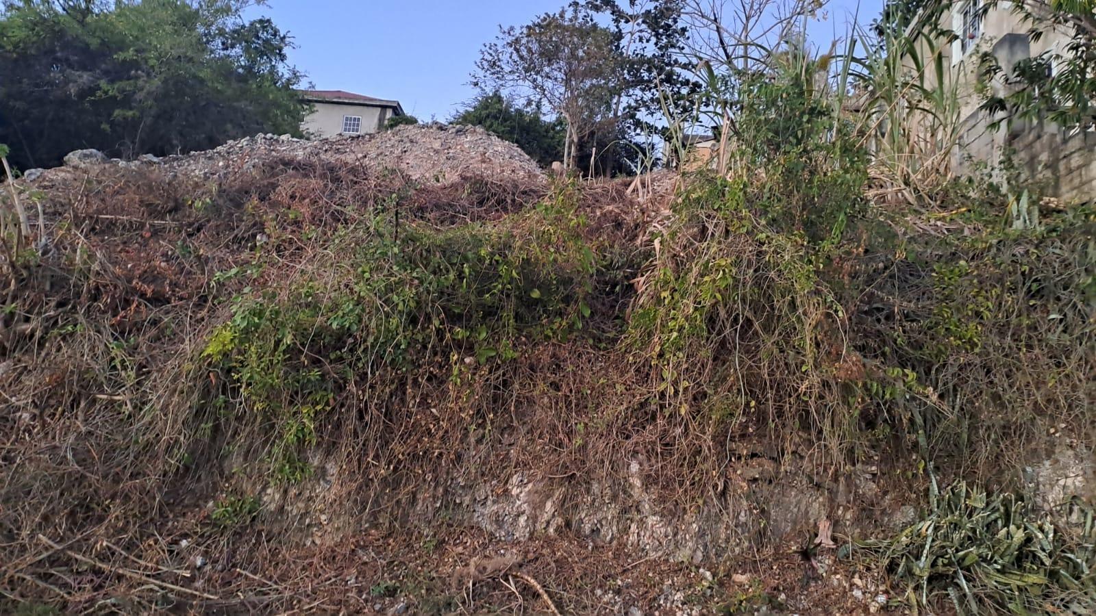 Residential-Lot-for-Sale-in-Melrose-Mews-Manchester-Jamaica First image of 51 Melrose Mews in Melrose, Manchester, Jamaica - property is For Sale