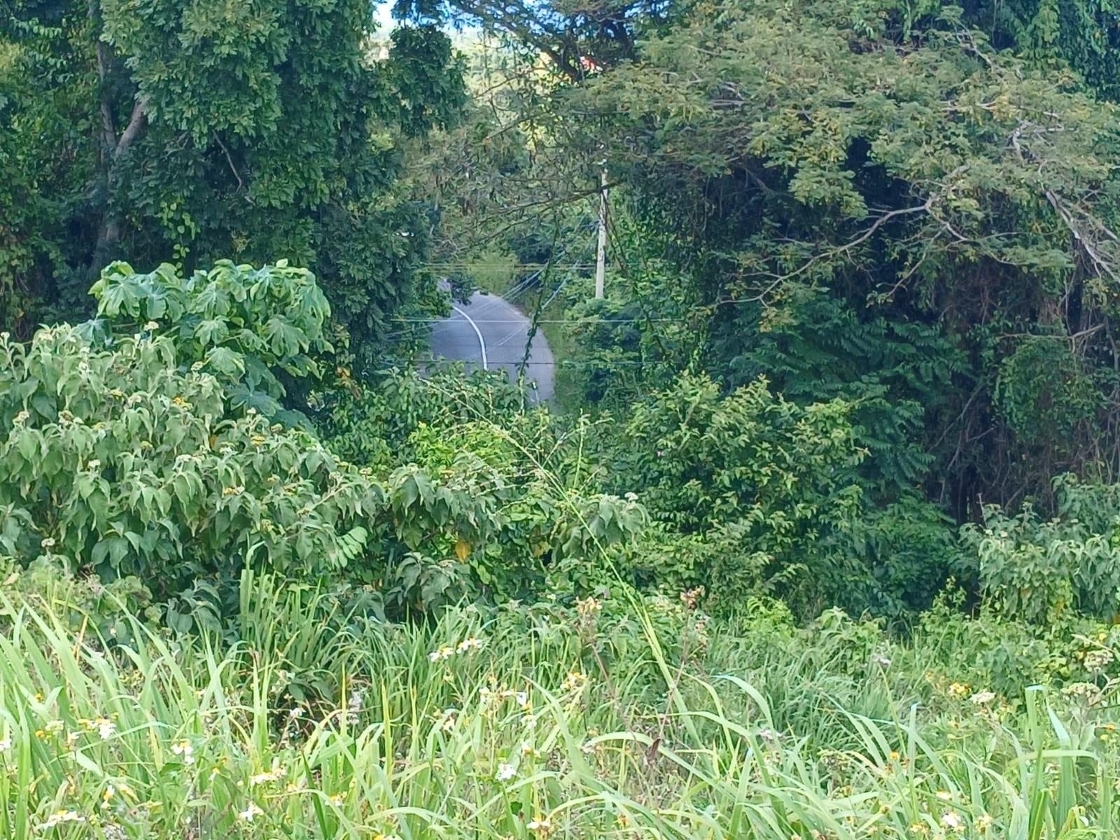 Second image of Lot 23-n/a Dr. Lecky Ave Minard Est in Browns Town, St. Ann, Jamaica - property is For Sale