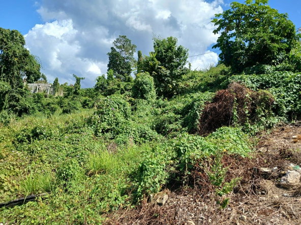 Eleventh image of Lot 23-n/a Dr. Lecky Ave Minard Est in Browns Town, St. Ann, Jamaica - property is For Sale