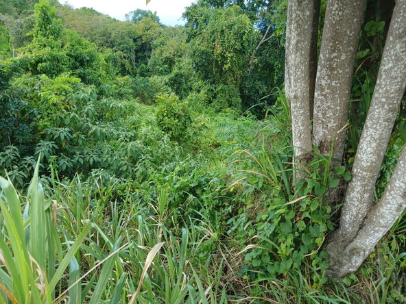 Twelfth image of Lot 23-n/a Dr. Lecky Ave Minard Est in Browns Town, St. Ann, Jamaica - property is For Sale