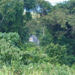 First image of Lot 23-n/a Dr. Lecky Ave Minard Est in Browns Town, St. Ann, Jamaica - property is For Sale
