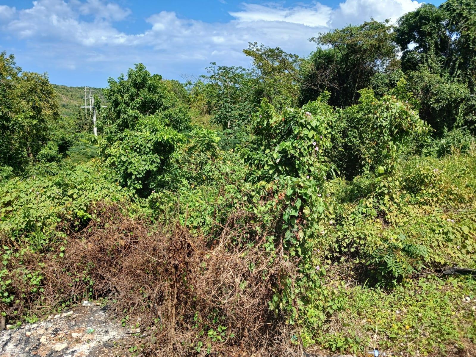 Third image of Lot 23-n/a Dr. Lecky Ave Minard Est in Browns Town, St. Ann, Jamaica - property is For Sale