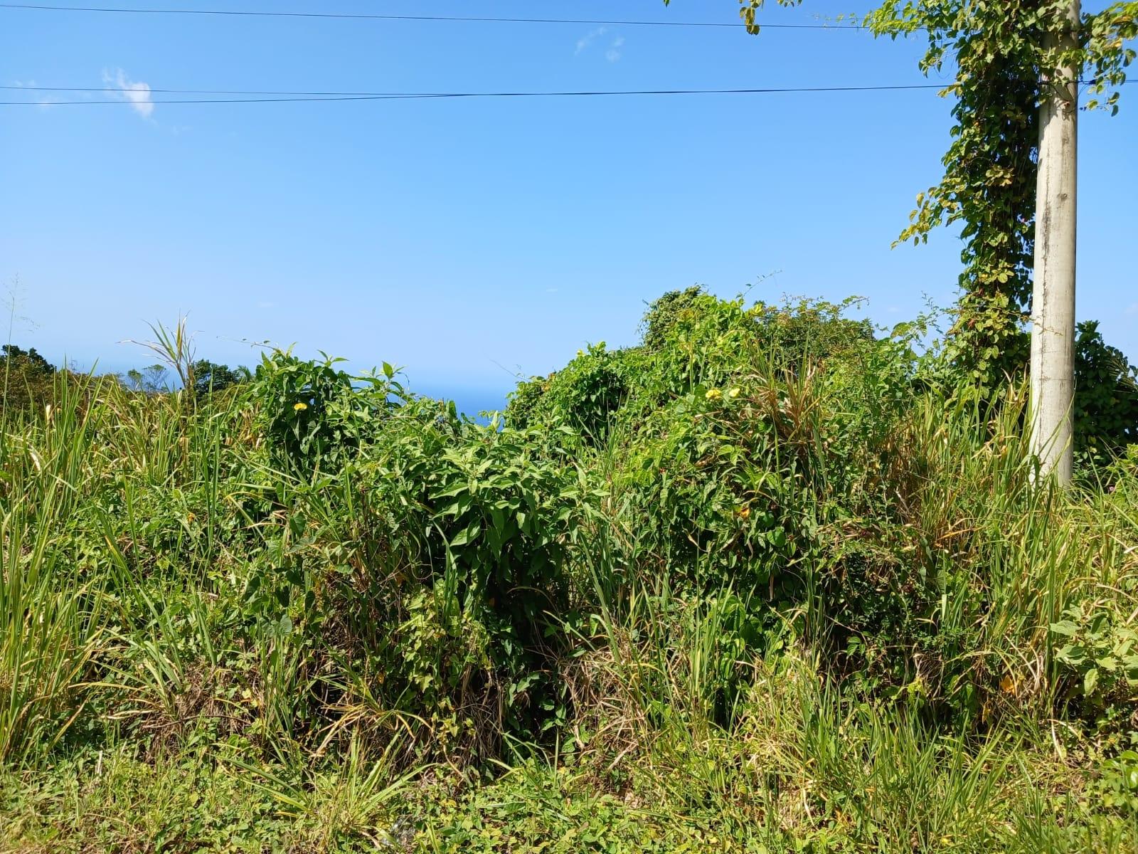 Fourth image of Lot 23-n/a Dr. Lecky Ave Minard Est in Browns Town, St. Ann, Jamaica - property is For Sale
