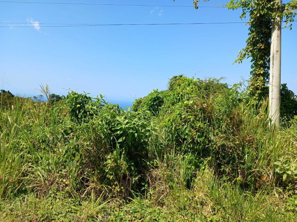 Fourth image of Lot 23-n/a Dr. Lecky Ave Minard Est in Browns Town, St. Ann, Jamaica - property is For Sale