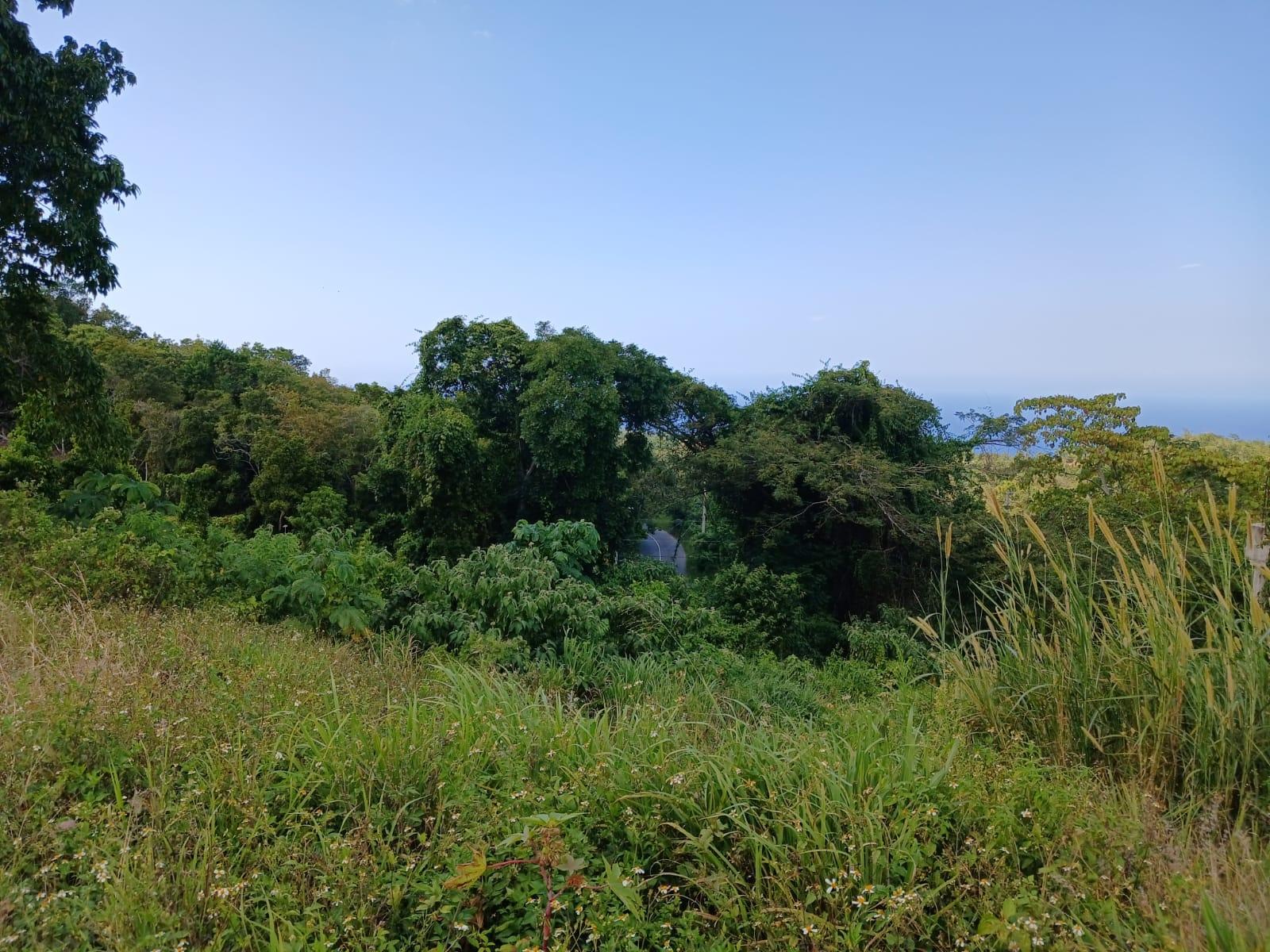 Fifth image of Lot 23-n/a Dr. Lecky Ave Minard Est in Browns Town, St. Ann, Jamaica - property is For Sale