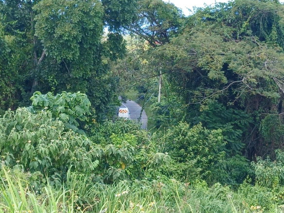 First image of Lot 23-n/a Dr. Lecky Ave Minard Est in Browns Town, St. Ann, Jamaica - property is For Sale