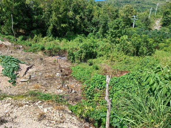 Seventh image of Lot 23-n/a Dr. Lecky Ave Minard Est in Browns Town, St. Ann, Jamaica - property is For Sale