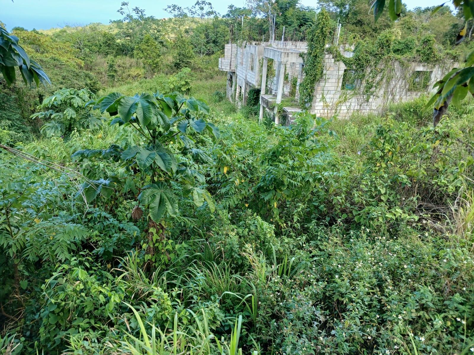 Eighth image of Lot 23-n/a Dr. Lecky Ave Minard Est in Browns Town, St. Ann, Jamaica - property is For Sale