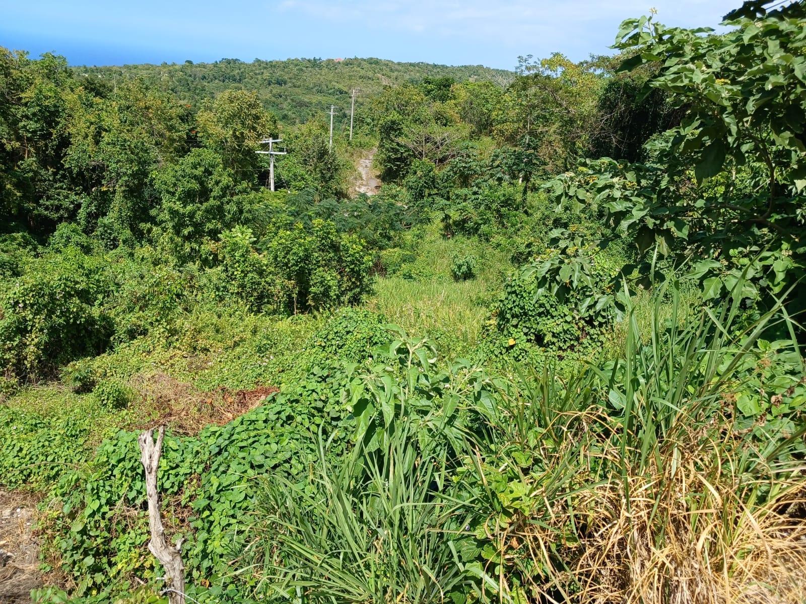 Tenth image of Lot 23-n/a Dr. Lecky Ave Minard Est in Browns Town, St. Ann, Jamaica - property is For Sale