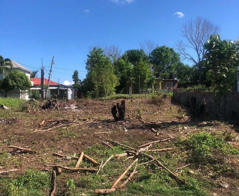 Fifth image of Lot 123 Clayton/montclair Heights in May Pen, Clarendon, Jamaica - property is For Sale