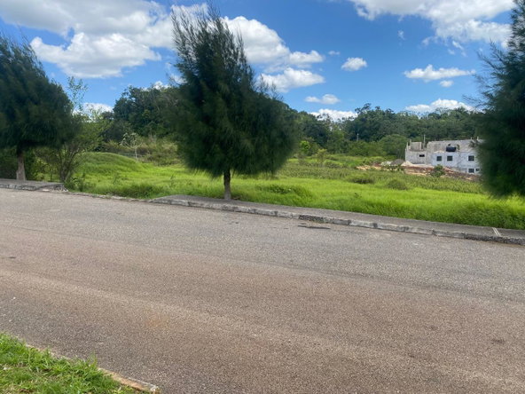 Sixth image of Moorlans Manor (phase 3a) in Mandeville, Manchester, Jamaica - property is For Sale
