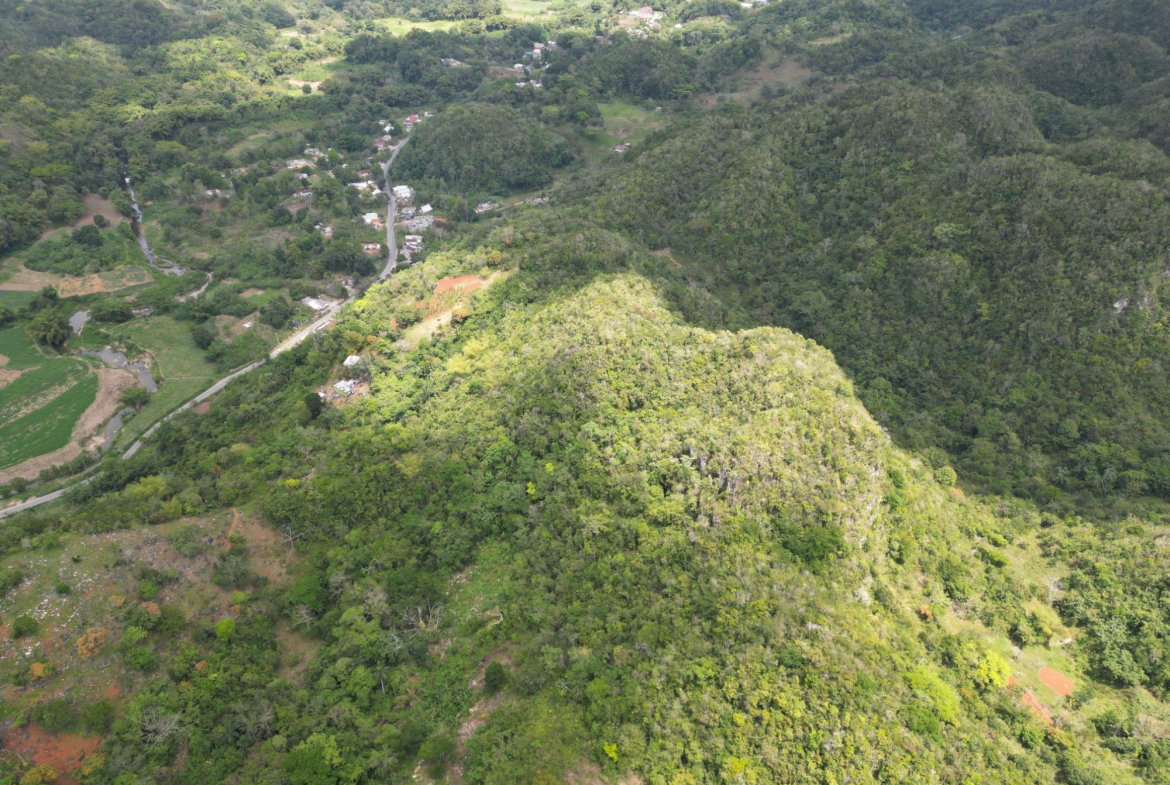 Second image of 86 88 & 81- Morgans Forest in Morgans Forest, Clarendon, Jamaica - property is For Sale