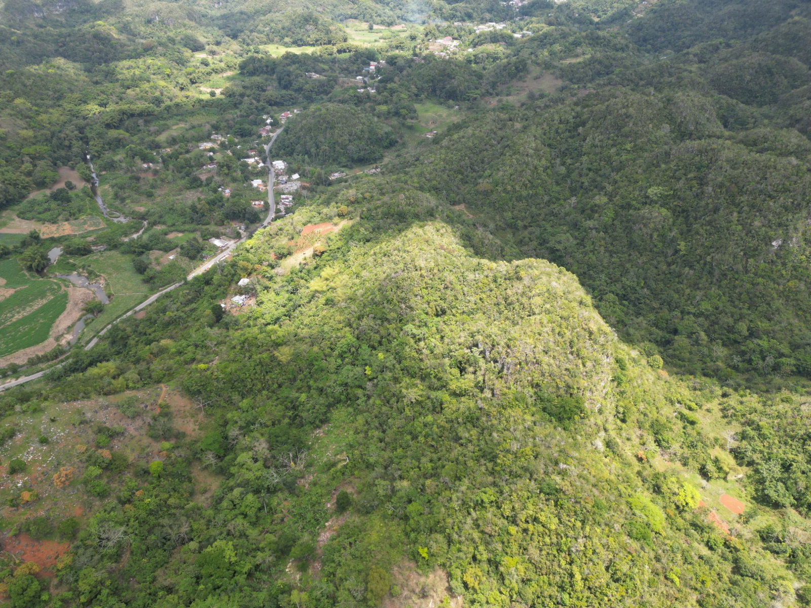 Second image of 86 88 & 81- Morgans Forest in Morgans Forest, Clarendon, Jamaica - property is For Sale