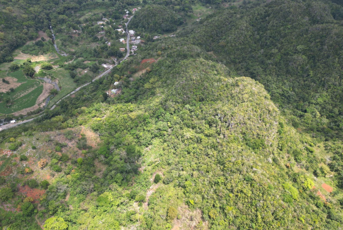 First image of 86 88 & 81- Morgans Forest in Morgans Forest, Clarendon, Jamaica - property is For Sale