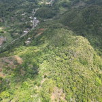 First image of 86 88 & 81- Morgans Forest in Morgans Forest, Clarendon, Jamaica - property is For Sale