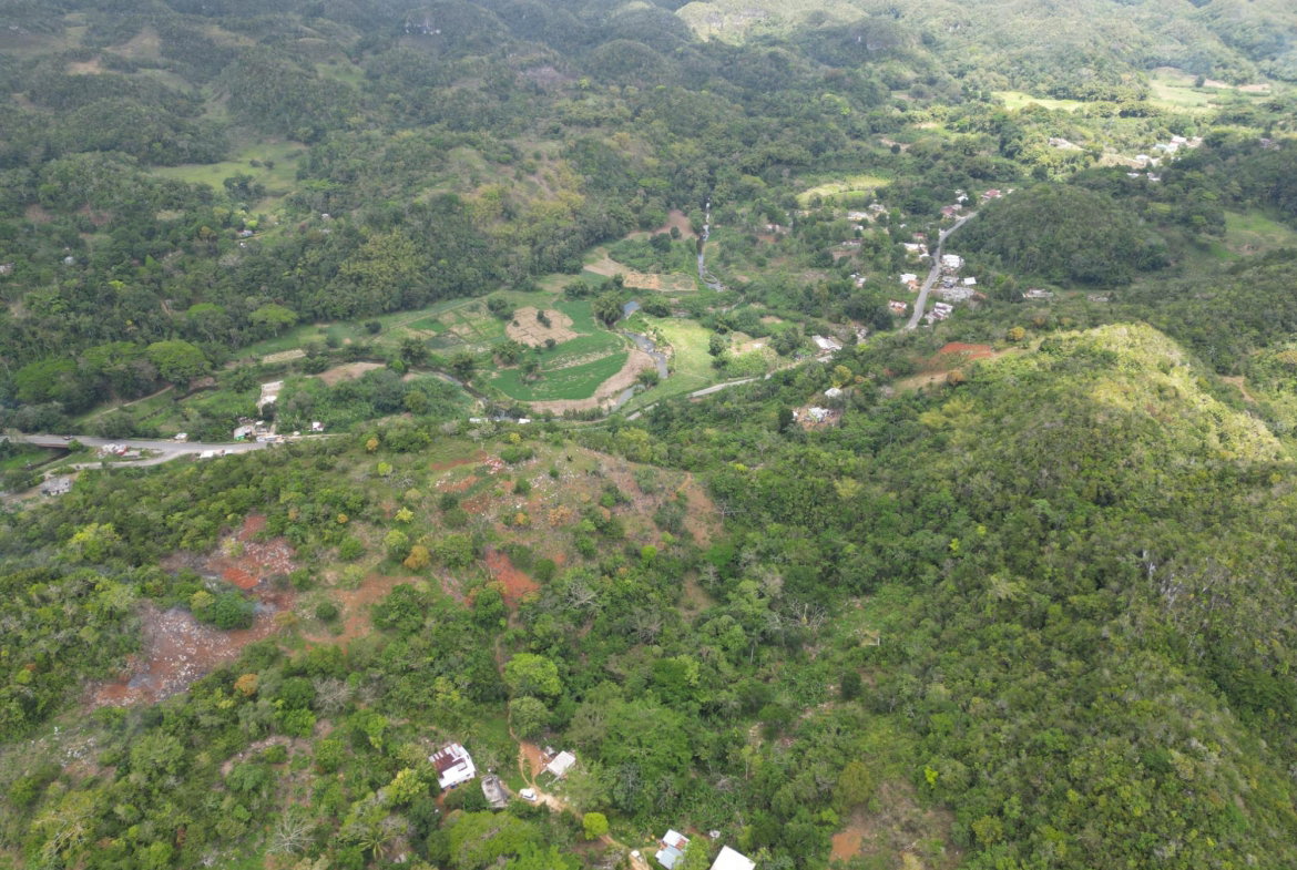 Fourth image of 86 88 & 81- Morgans Forest in Morgans Forest, Clarendon, Jamaica - property is For Sale