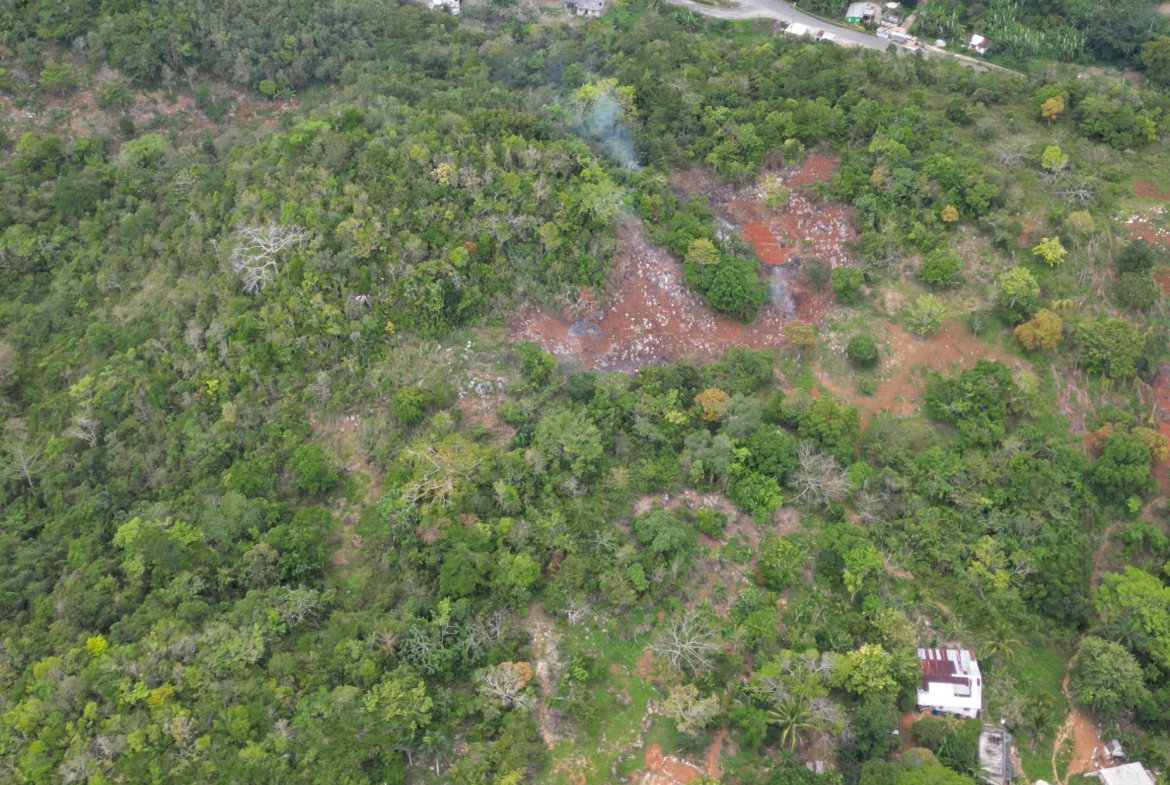 Fifth image of 86 88 & 81- Morgans Forest in Morgans Forest, Clarendon, Jamaica - property is For Sale