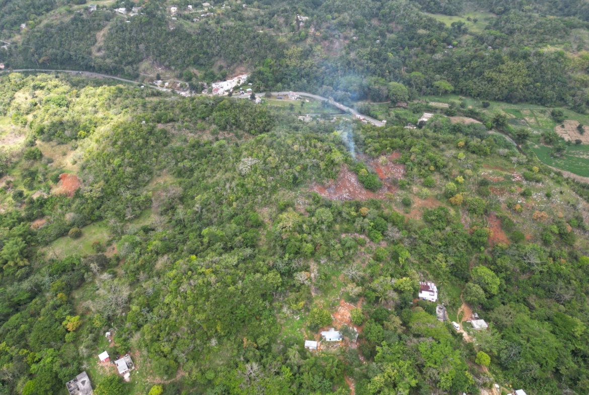 Sixth image of 86 88 & 81- Morgans Forest in Morgans Forest, Clarendon, Jamaica - property is For Sale