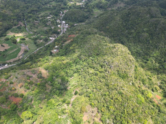 First image of 86 88 & 81- Morgans Forest in Morgans Forest, Clarendon, Jamaica - property is For Sale