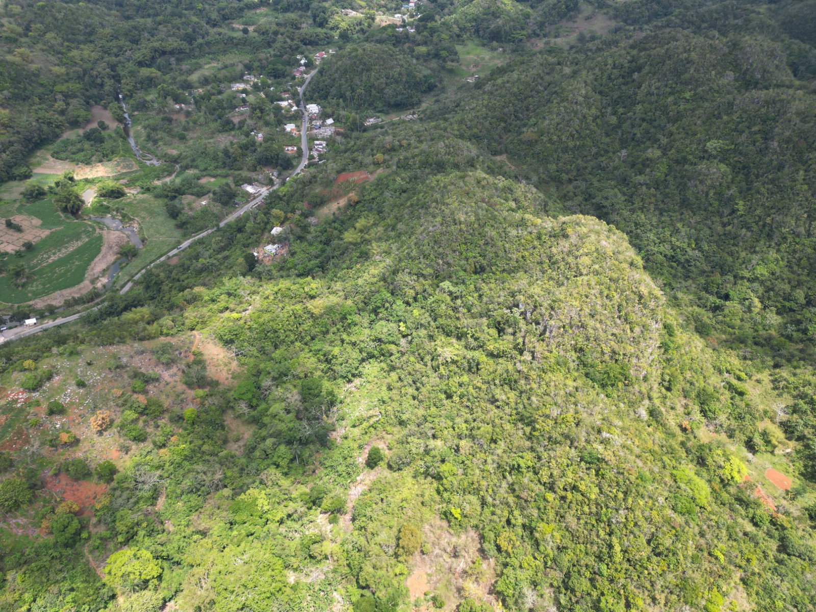 First image of 86 88 & 81- Morgans Forest in Morgans Forest, Clarendon, Jamaica - property is For Sale