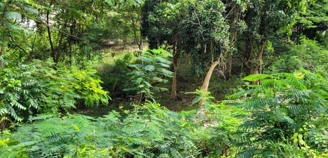 Fourteenth image of New Green, Mandeville in Mandeville, Manchester, Jamaica - property is For Sale