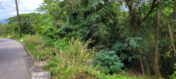 Twenty-First image of New Green, Mandeville in Mandeville, Manchester, Jamaica - property is For Sale