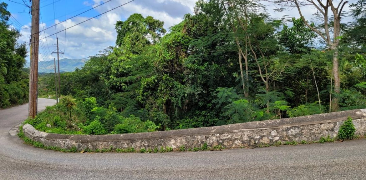 Fifth image of New Green, Mandeville in Mandeville, Manchester, Jamaica - property is For Sale