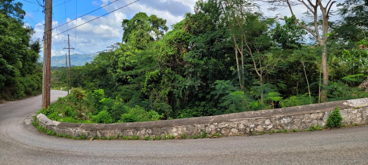 Fifth image of New Green, Mandeville in Mandeville, Manchester, Jamaica - property is For Sale