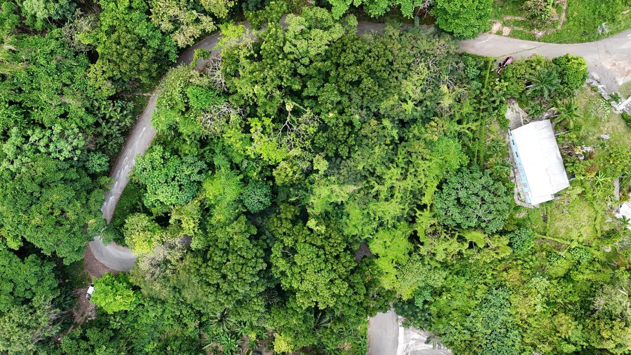 Second image of Lot 9-9 Old Hotel Road, Shaw Park in Shaw Park, St. Ann, Jamaica - property is For Sale