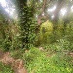 First image of Lot 9-9 Old Hotel Road, Shaw Park in Shaw Park, St. Ann, Jamaica - property is For Sale