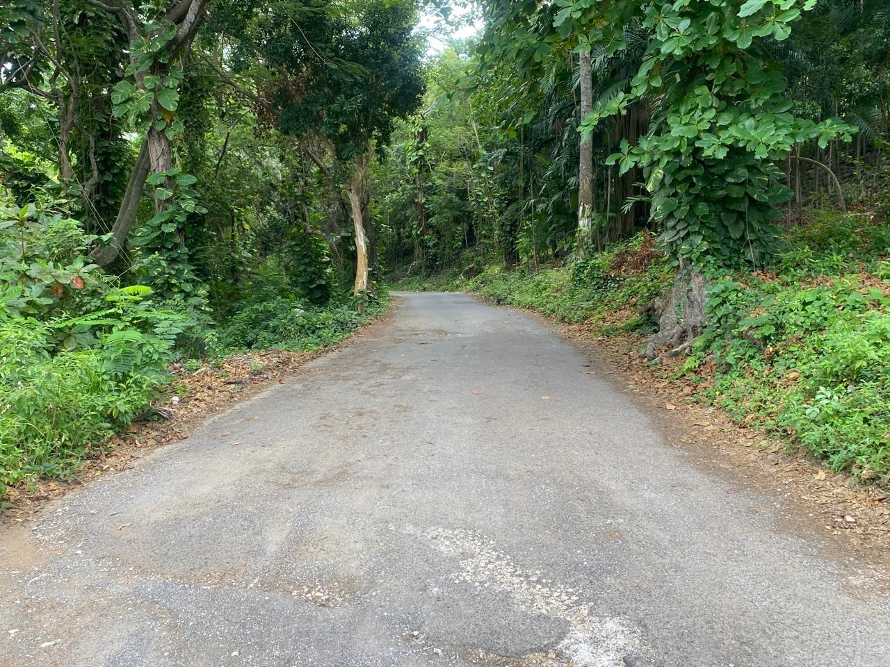 Fourth image of Lot 9-9 Old Hotel Road, Shaw Park in Shaw Park, St. Ann, Jamaica - property is For Sale