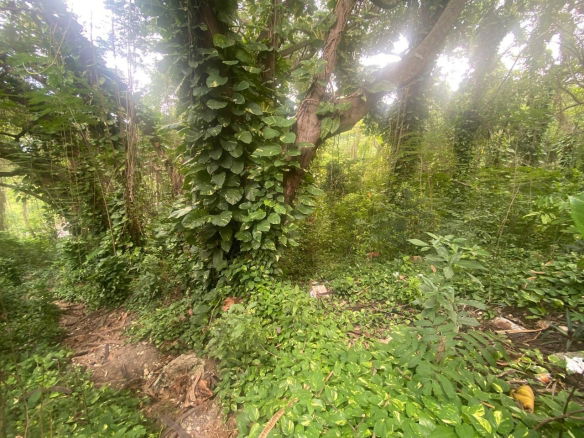 First image of Lot 9-9 Old Hotel Road, Shaw Park in Shaw Park, St. Ann, Jamaica - property is For Sale