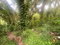 First image of Lot 9-9 Old Hotel Road, Shaw Park in Shaw Park, St. Ann, Jamaica - property is For Sale