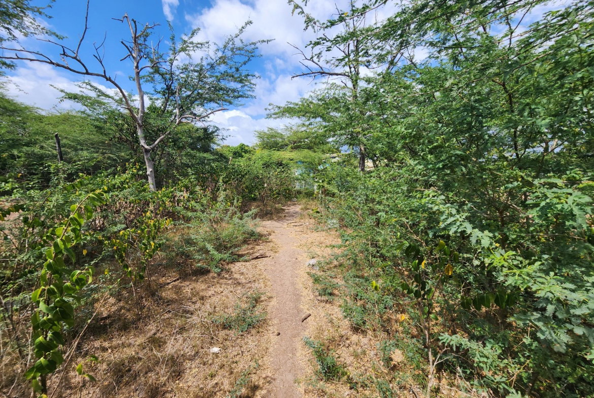 Twelfth image of Thompson Pen Road in Old Harbour, St. Catherine, Jamaica - property is For Sale