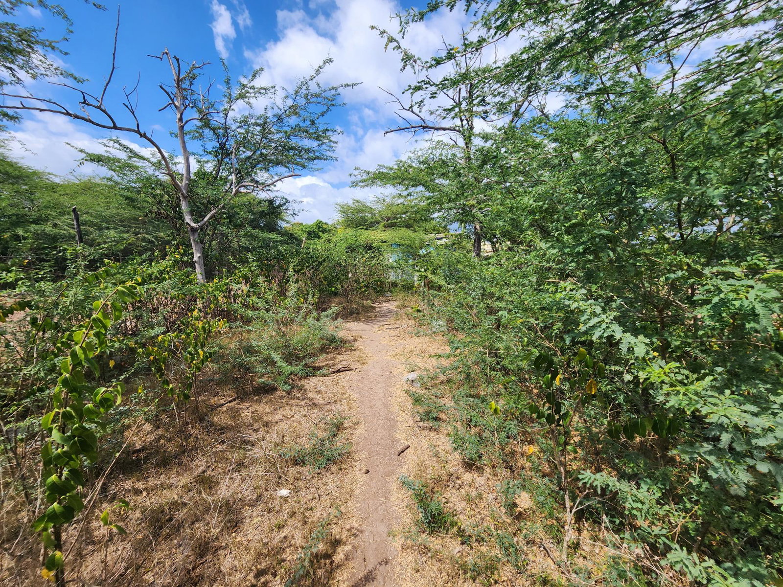 Residential-Lot-for-Sale-in-Old-Harbour-Bay-St.-Catherine-Jamaica-0.3-Acres Twelfth image of Thompson Pen Road in Old Harbour, St. Catherine, Jamaica - property is For Sale