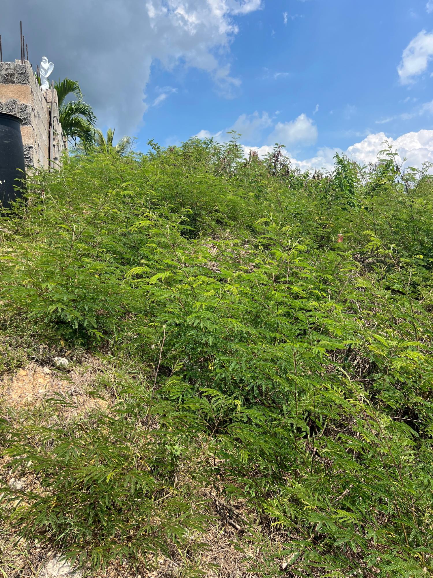 Third image of Block D-lot 129 Seaview Terrace in Old Harbour, St. Catherine, Jamaica - property is For Sale