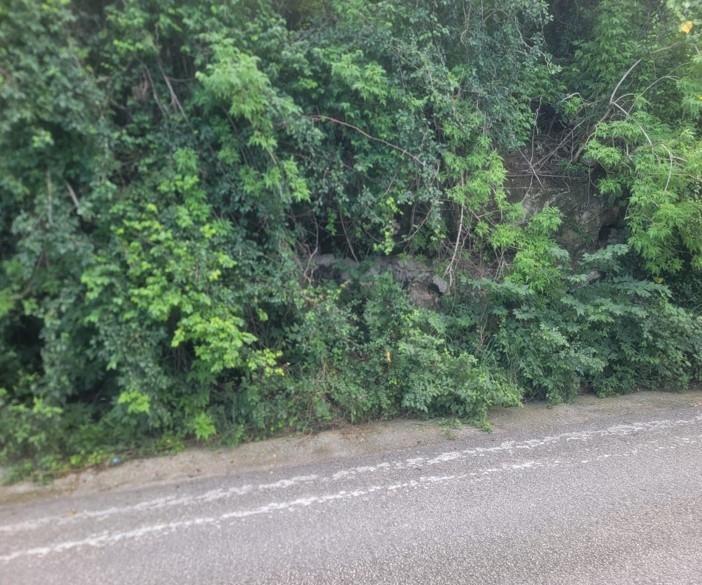 Second image of 115 Orchard Gardens, Hanover in Orchard, Hanover, Jamaica - property is For Sale