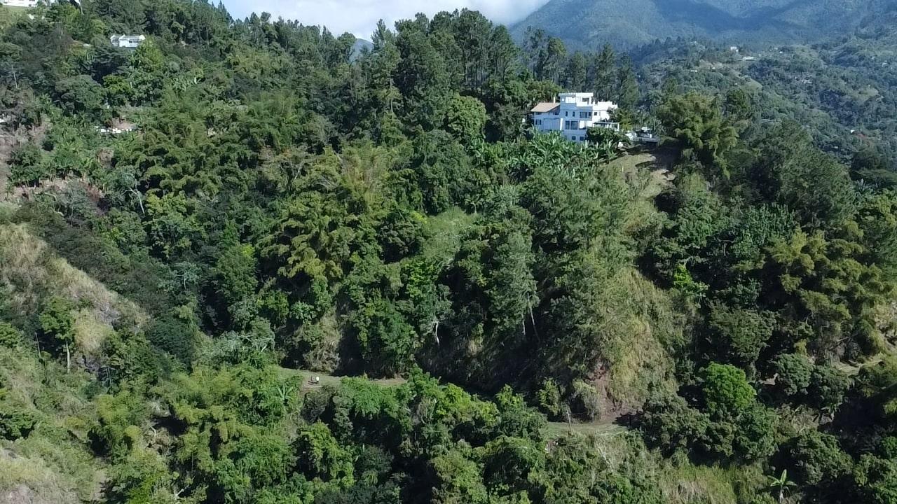 Third image of Part of Peter's Rock in Kingston 8, St. Andrew, Jamaica - property is For Sale