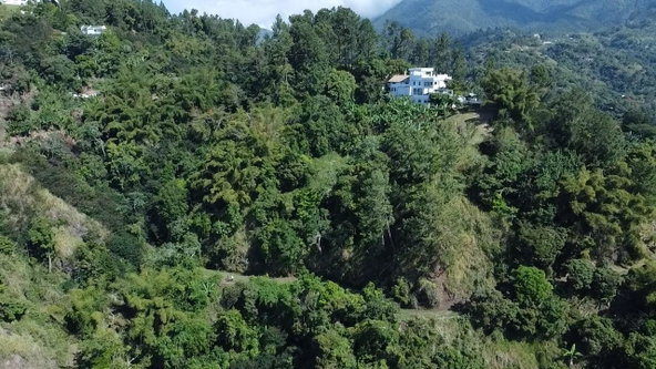 Third image of Part of Peter's Rock in Kingston 8, St. Andrew, Jamaica - property is For Sale