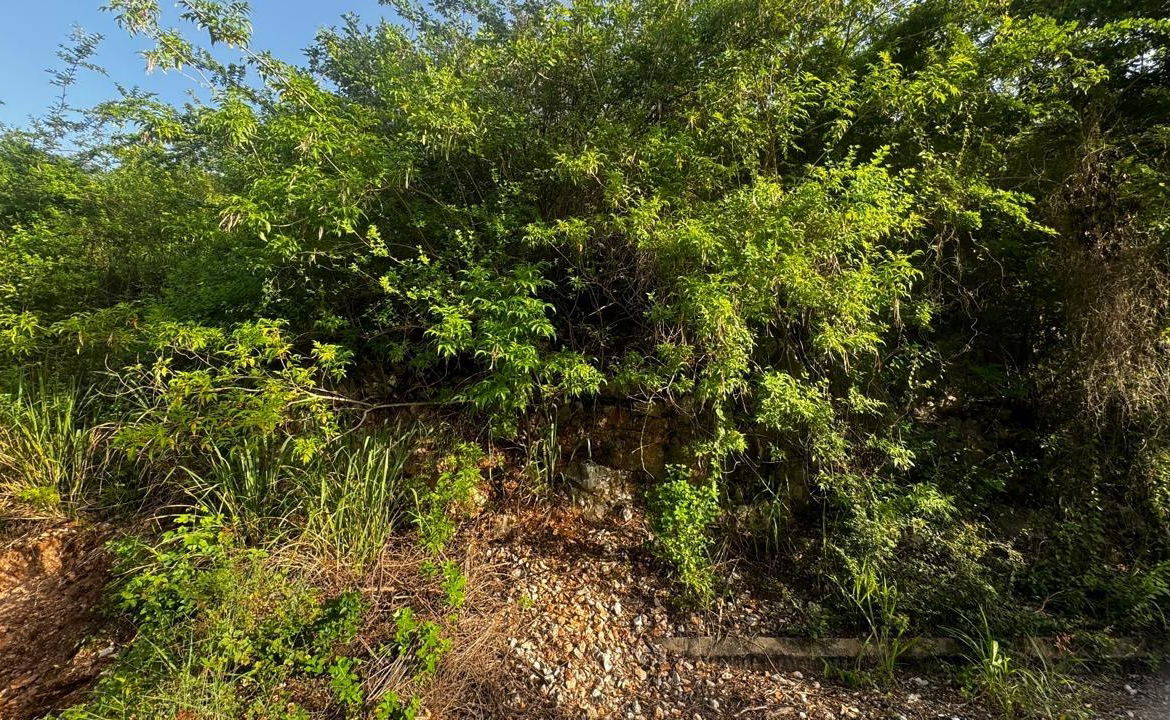 Second image of Lot 19- Pleasant Avenue, Pleasant in Red Hills, St. Andrew, Jamaica - property is For Sale