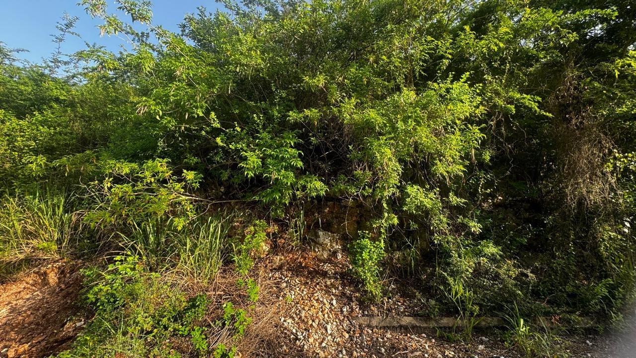 Second image of Lot 19- Pleasant Avenue, Pleasant in Red Hills, St. Andrew, Jamaica - property is For Sale