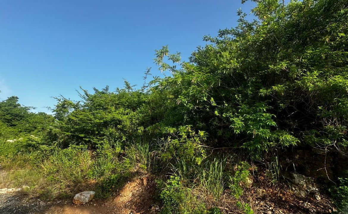 Third image of Lot 19- Pleasant Avenue, Pleasant in Red Hills, St. Andrew, Jamaica - property is For Sale